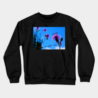 Purple Thistle Crewneck Sweatshirt